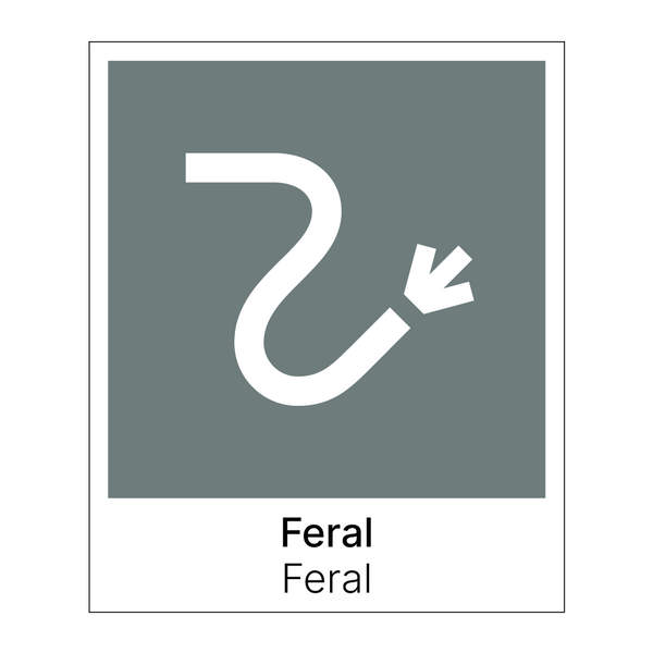 Feral - Feral & Feral - Feral & Feral - Feral & Feral - Feral & Feral - Feral & Feral - Feral