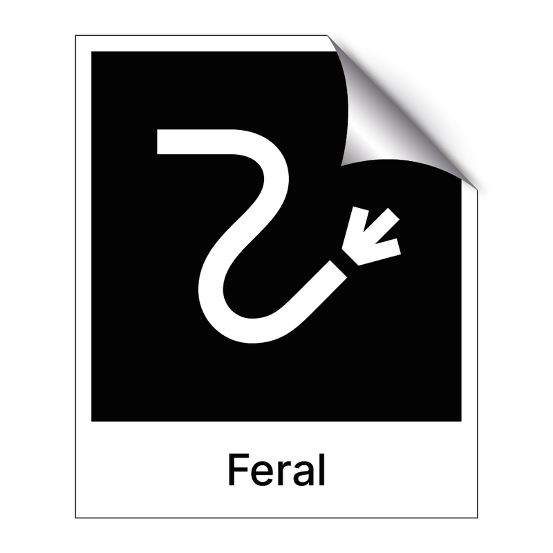 Feral & Feral & Feral & Feral & Feral & Feral