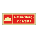 Gassavstengingsventil