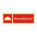 Hovedbryter