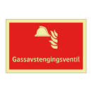 Gassavstengingsventil