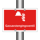 Gassavstengingsventil
