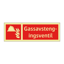 Gassavstengingsventil