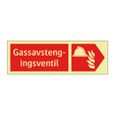 Gassavstengingsventil