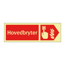Hovedbryter