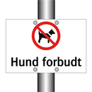 Hund forbudt