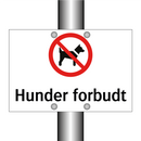 Hunder forbudt