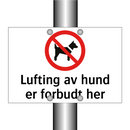 Lufting av hund er forbudt her