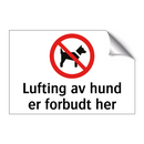 Lufting av hund er forbudt her