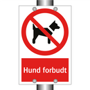 Hund forbudt