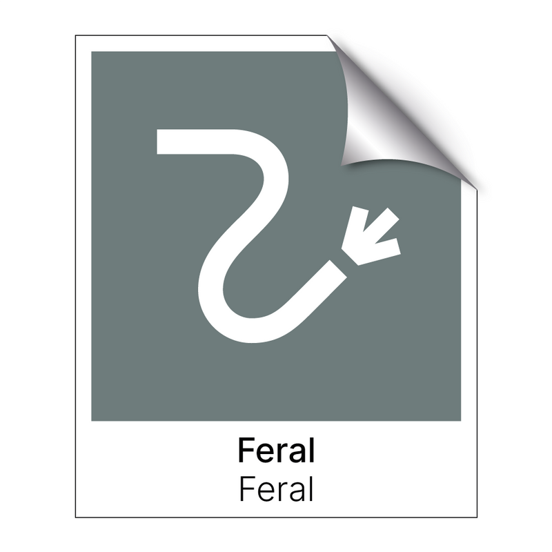 Feral - Feral & Feral - Feral & Feral - Feral & Feral - Feral & Feral - Feral & Feral - Feral