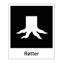 Røtter