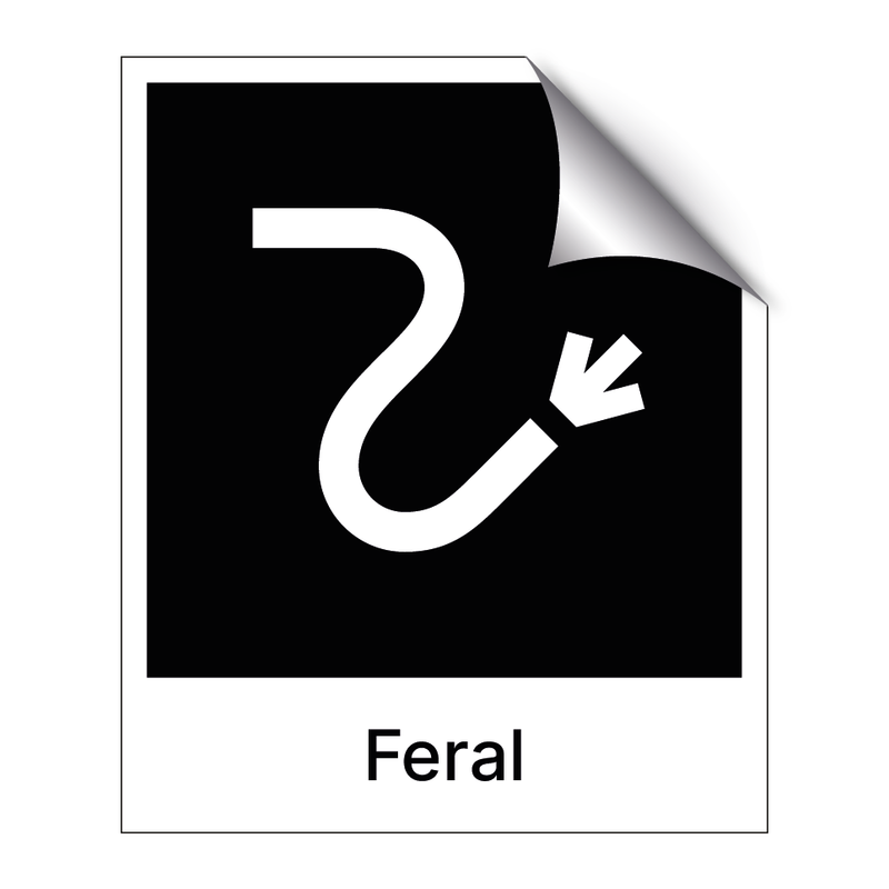 Feral