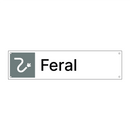 Feral