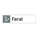 Feral