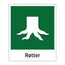 Røtter