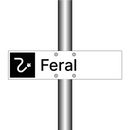 Feral