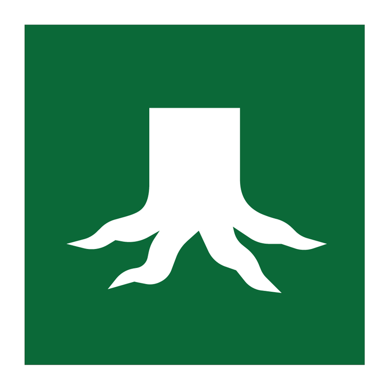 Røtter