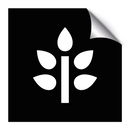 Svartelistede planter