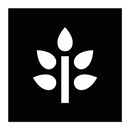 Svartelistede planter