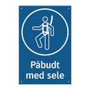 Påbudt med Sele