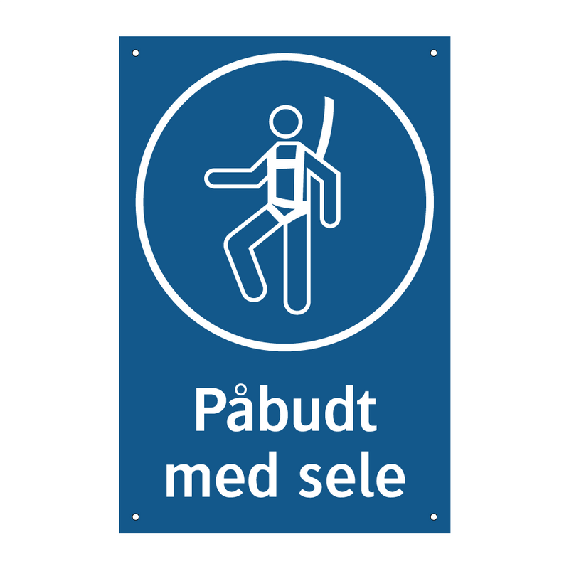Påbudt med Sele
