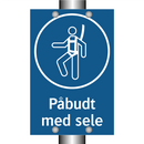 Påbudt med Sele