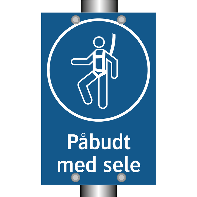 Påbudt med Sele