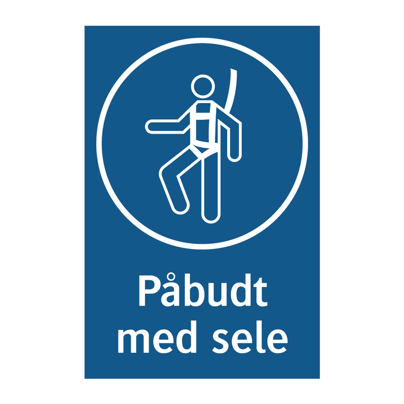 Påbudt med Sele