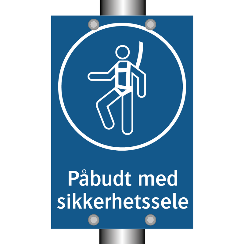 Påbudt med Sikkerhetssele