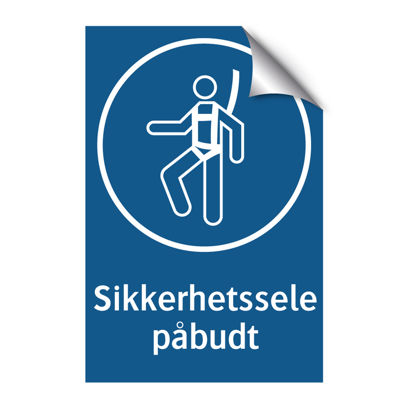 Sikkerhetssele påbudt