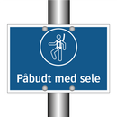 Påbudt med sele