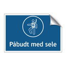 Påbudt med sele