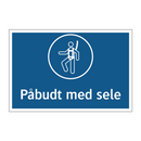 Påbudt med sele