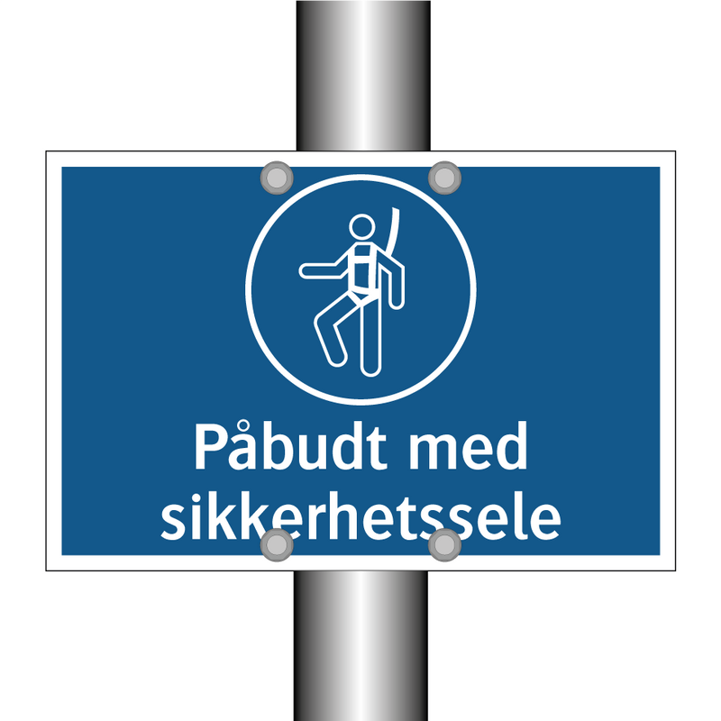 Påbudt med sikkerhetssele