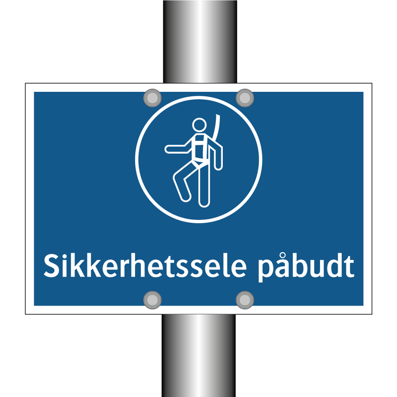 Sikkerhetssele påbudt