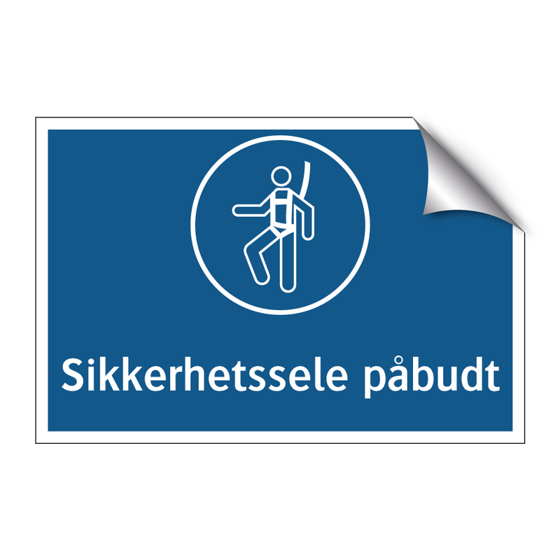 Sikkerhetssele påbudt