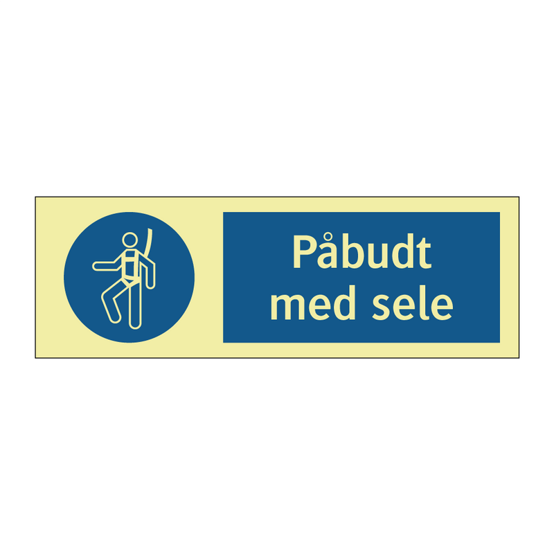 Påbudt med Sele