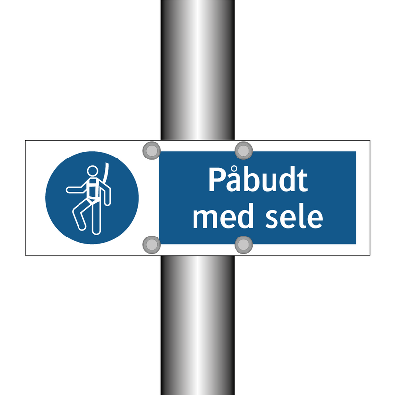 Påbudt med Sele