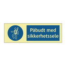 Påbudt med Sikkerhetssele