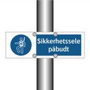 Sikkerhetssele påbudt