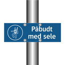 Påbudt med Sele