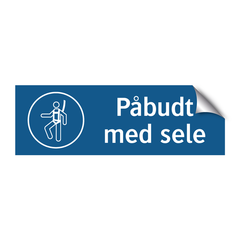 Påbudt med Sele