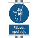 Påbudt med Sele