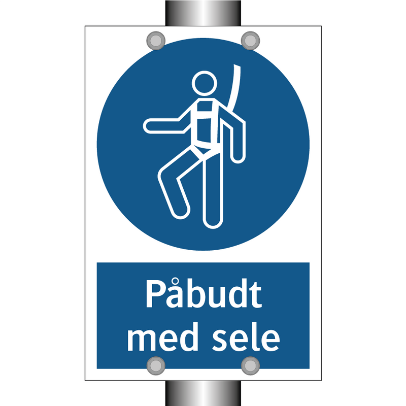 Påbudt med Sele