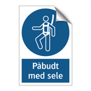 Påbudt med Sele
