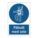 Påbudt med Sele