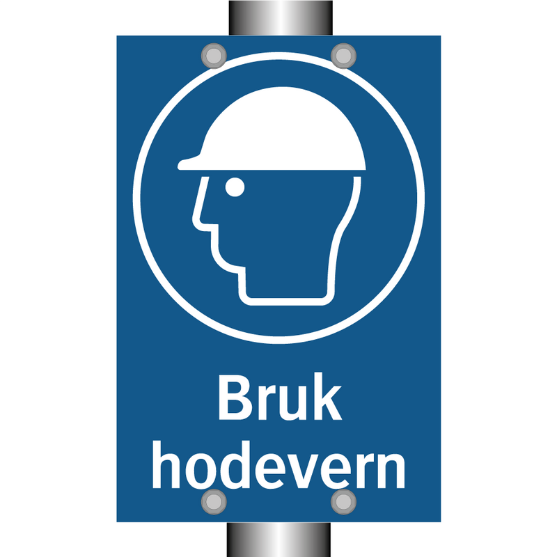 Bruk hodevern
