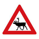 146.2 Dyr (rein) & 146.2 Dyr (rein) & 146.2 Dyr (rein) & 146.2 Dyr (rein) & 146.2 Dyr (rein)