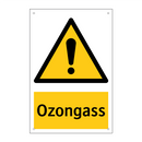 Ozongass